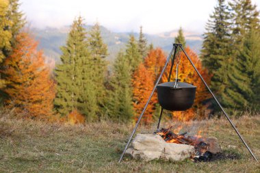Ormanın yakınındaki kamp ateşinde yemek pişirmek. Kamp sezonu