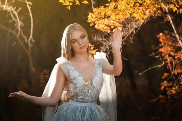 秋の森の中で妖精のドレスを着て美しい女の子 — ストック写真