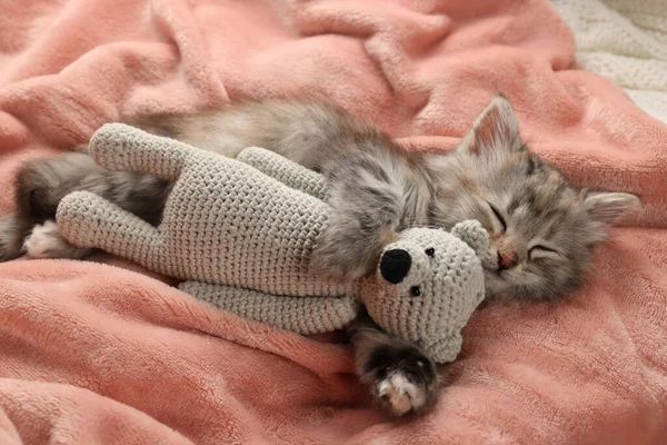 Cute Kitten Sleeping Toy Soft Pink Blanket — Stock Photo, Image