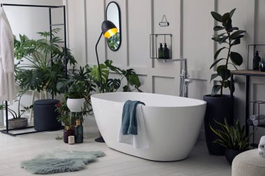 Modern küvet ve güzel ev bitkileriyle dolu şık bir banyo. Ev tasarımı
