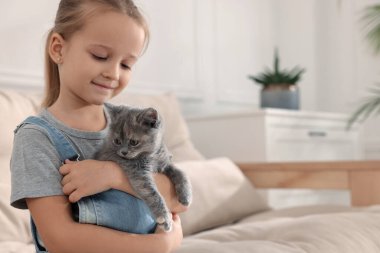 Evde kedisi olan sevimli küçük bir kız, mesaj atmak için yeri var. Çocukluk hayvanı.