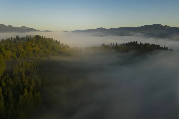 Veduta Aerea Bellissimo Paesaggio Con Foresta Nebbiosa Montagna — Foto Stock