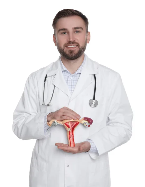 Läkare Visar Modell Kvinnliga Reproduktiva Systemet Vit Bakgrund Gynekologisk Vård — Stockfoto