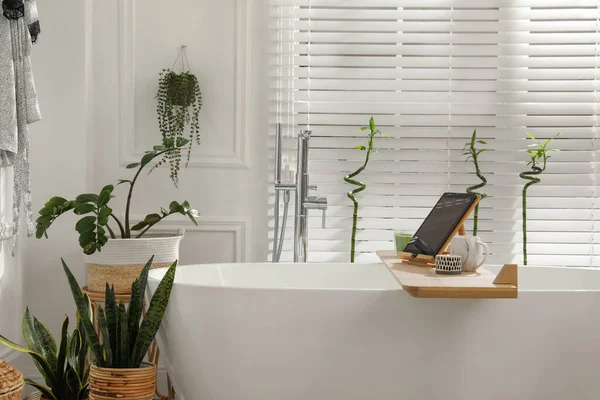 Stílusos Fehér Kád Zöld Szobanövények Fürdőszobában Belső Kialakítás — Stock Fotó