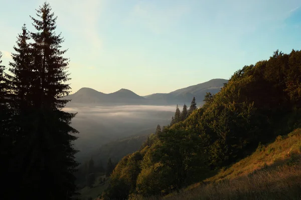 Prachtig Uitzicht Prachtige Mistige Bergen Ochtend — Stockfoto