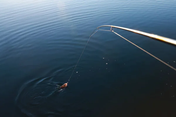 Рибальський Стрижень Ловлею Березі Річки Сонячний День — стокове фото