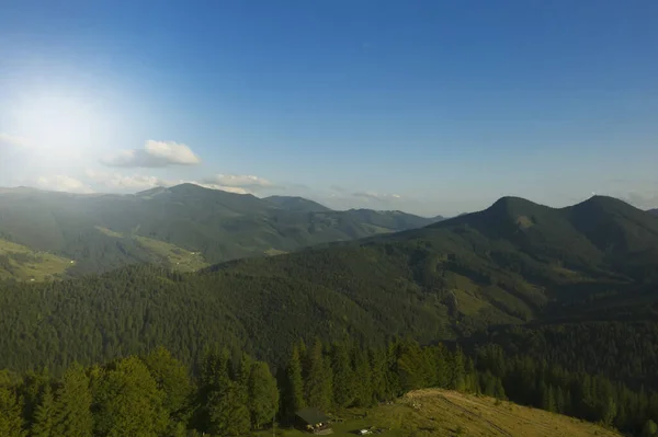 Letecký Pohled Les Krásné Jehličnany Horách Slunečného Dne — Stock fotografie