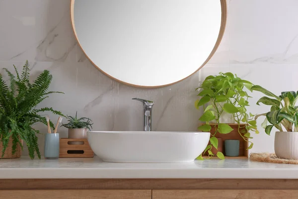 Salle Bain Intérieure Avec Lavabo Belles Plantes Intérieur Vertes Miroir — Photo