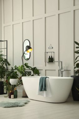 Modern küvet ve güzel ev bitkileriyle dolu şık bir banyo. Ev tasarımı