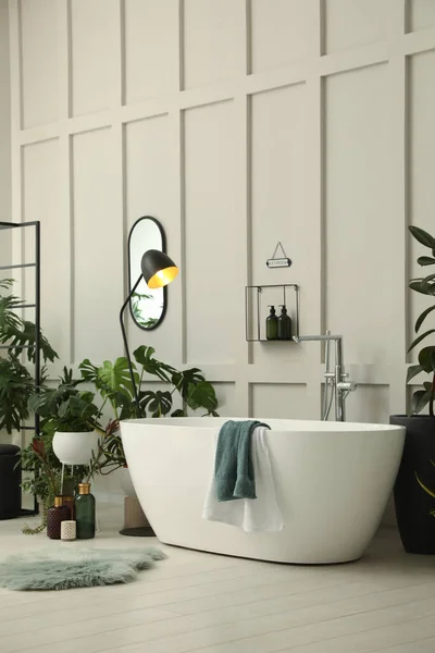 Élégant Intérieur Salle Bain Avec Baignoire Moderne Belles Plantes Intérieur — Photo