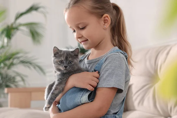Cute Little Girl Kitten Home Childhood Pet — 图库照片
