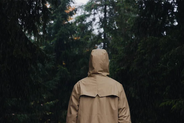 雨の下で森の中でレインコートを着た女性 バックビュー — ストック写真