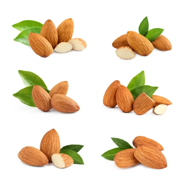 Set Con Sabrosas Nueces Almendras Sobre Fondo Blanco —  Fotos de Stock