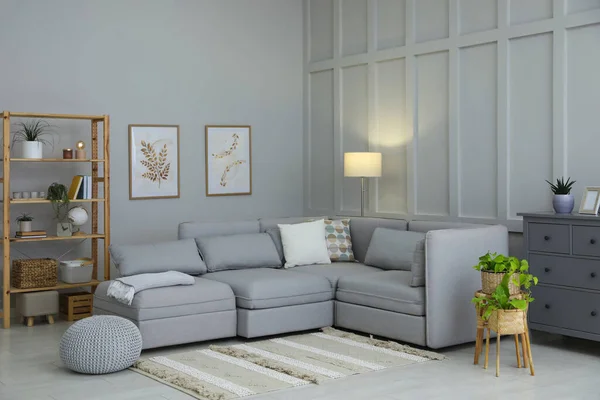 Elegante Sala Estar Interior Com Confortável Sofá Cinza Plantas — Fotografia de Stock