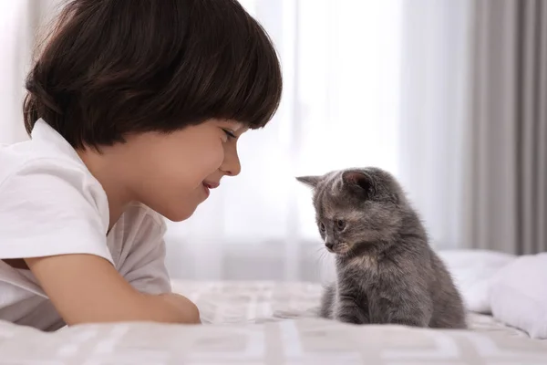 Petit Garçon Mignon Avec Chaton Sur Lit Maison Enfance Animal — Photo