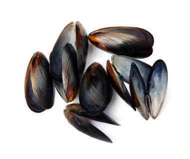 Boş midye kabuklarını beyaz arkaplanda aç, üst görünümde