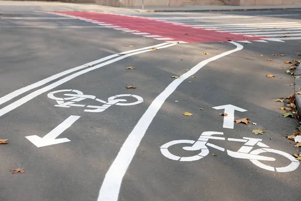 柏油上有白色标志的双向自行车道 — 图库照片