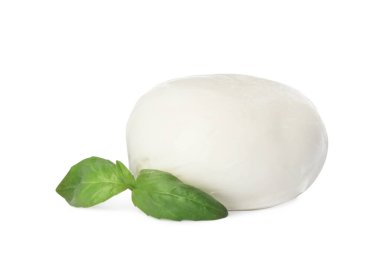 Beyaz arka planda lezzetli mozzarella peynir topu ve fesleğen.