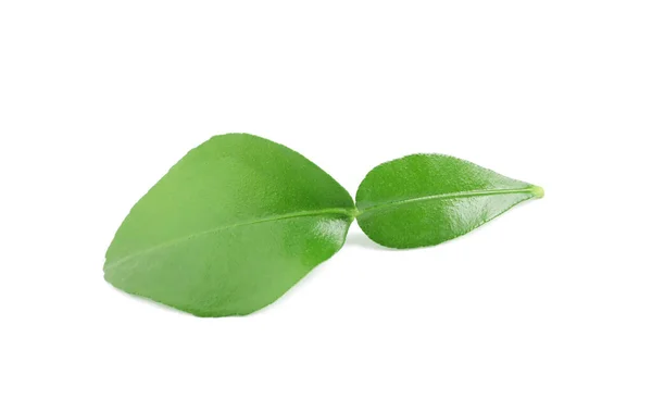 Folhas Verdes Fruta Bergamota Fundo Branco — Fotografia de Stock