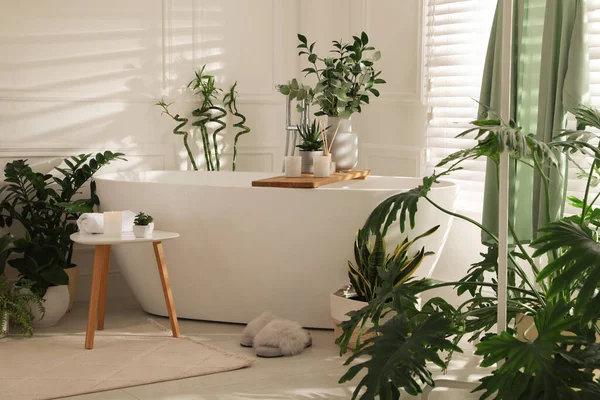 Interior Kamar Mandi Bergaya Dengan Bak Mandi Putih Hijau Tanaman — Stok Foto