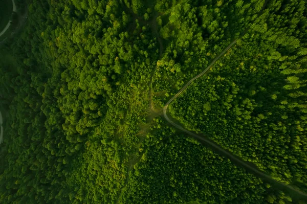 Vista Aérea Estrada Cercada Por Floresta Com Belas Árvores Verdes — Fotografia de Stock