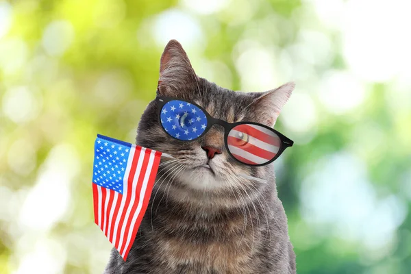 7月4日 アメリカ独立記念日 黒っぽい緑の背景にサングラスとアメリカ国旗のかわいい猫 ボケ効果 — ストック写真