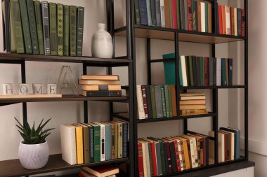 Ev kütüphanesindeki raflarda farklı kitap ve dekoratif öğelerin koleksiyonu