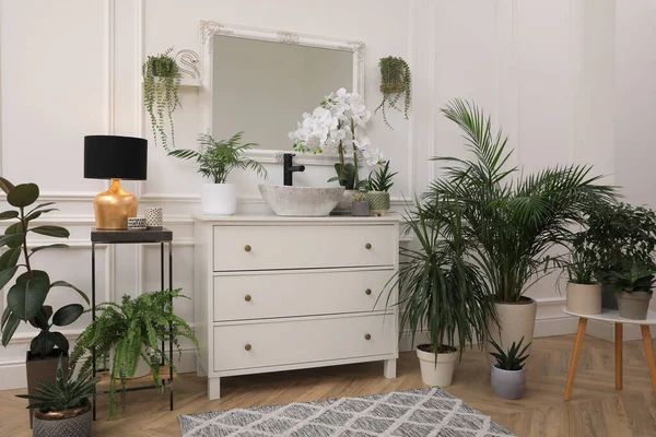 Elegante Baño Interior Con Muebles Modernos Hermosas Plantas Interior — Foto de Stock