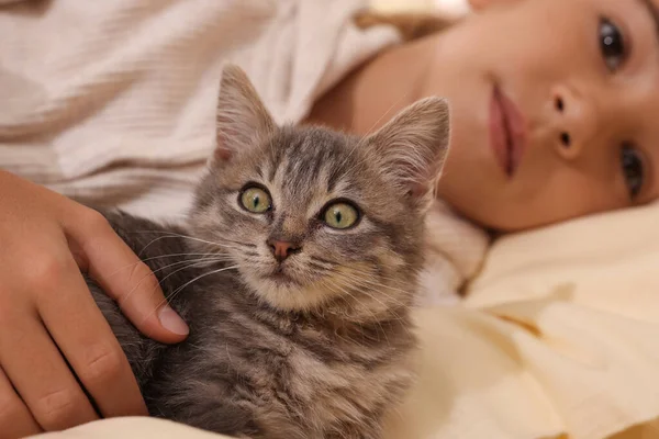 Cute Little Child Kitten Bed Focus Pet — Stockfoto