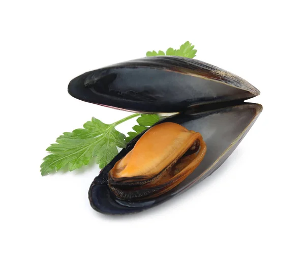 Delicious Cooked Mussel Shell Parsley White Background — Stockfoto