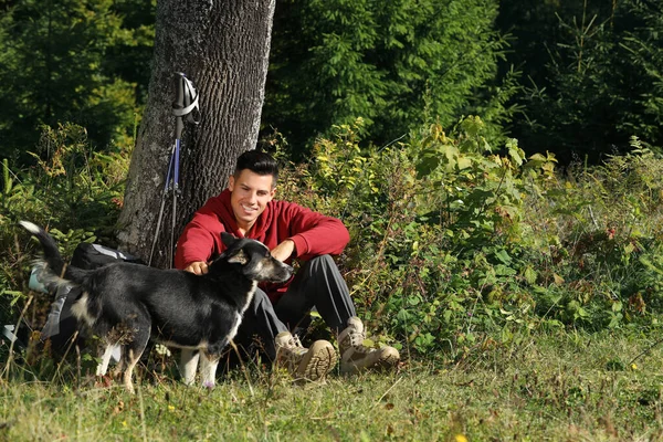 Caminhante Acariciando Cão Enquanto Sentado Perto Árvore Grama Paragem Descanso — Fotografia de Stock