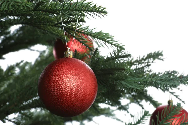Hermoso Árbol Navidad Con Adornos Rojos Sobre Fondo Blanco Primer —  Fotos de Stock