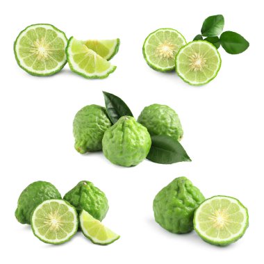 Beyaz arka planda taze olgun bergamot meyveleriyle kurulmuş. 