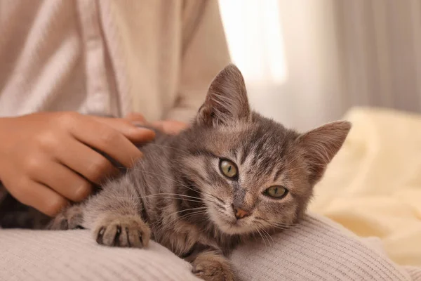 Schattig Klein Meisje Met Kitten Bed Binnen Close Jeugd Huisdier — Stockfoto