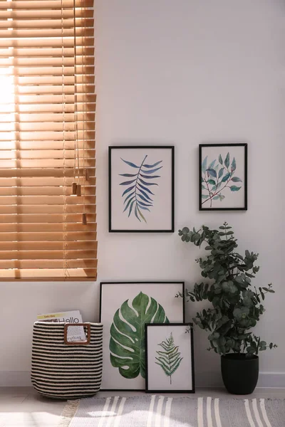 Intérieur Élégant Avec Eucalyptus Vert Peintures Florales — Photo