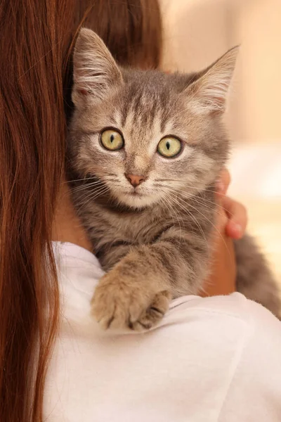 Schattig Klein Meisje Met Kitten Binnen Achteraanzicht Jeugd Huisdier — Stockfoto