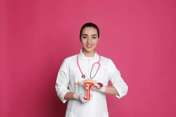 Orvos Bemutatja Modell Női Reproduktív Rendszer Rózsaszín Alapon Nőgyógyászati Ellátás — Stock Fotó
