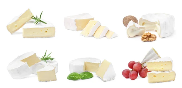 Set Con Sabroso Queso Brie Sobre Fondo Blanco —  Fotos de Stock