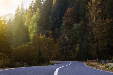Ormanın güzel manzarası ve dağlara giden boş asfalt yol.