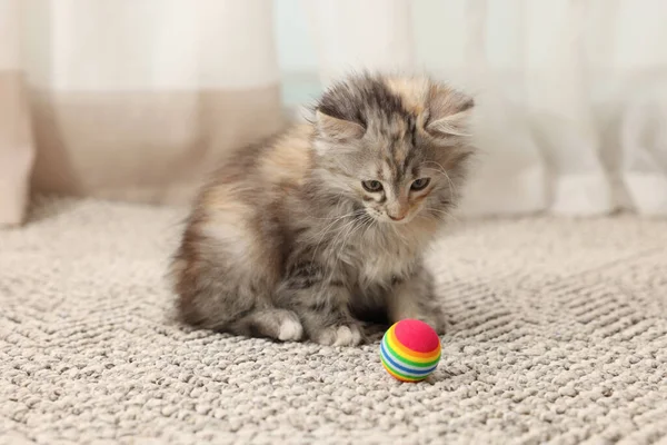 Schattig Pluizig Kitten Met Bal Thuis — Stockfoto