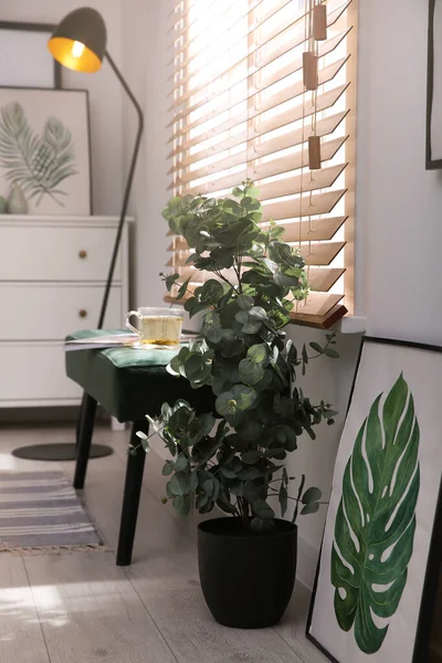 Stylish Room Interior Green Eucalyptus Tree Floral Painting Bench — Fotografia de Stock
