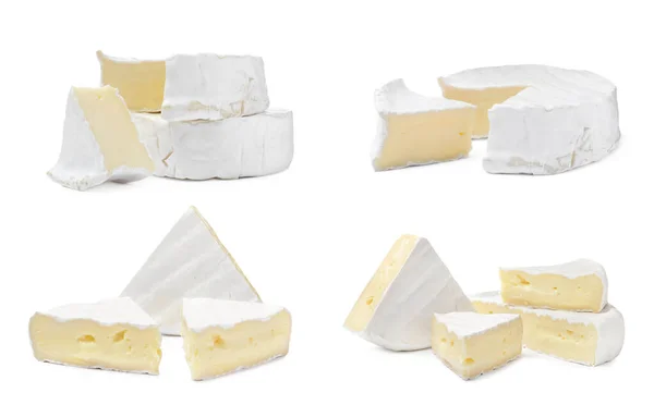 白い背景においしいブリーチーズとセット — ストック写真