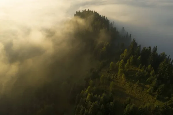 Veduta Aerea Bellissimo Paesaggio Con Foresta Nebbiosa — Foto Stock