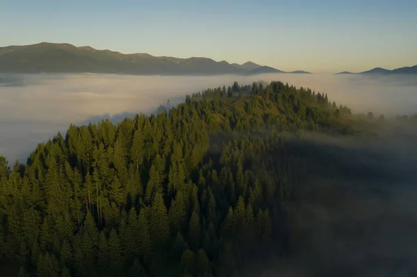안개낀 숲으로 뒤덮인 아름다운 풍경을 공중에서 내려다 — 스톡 사진