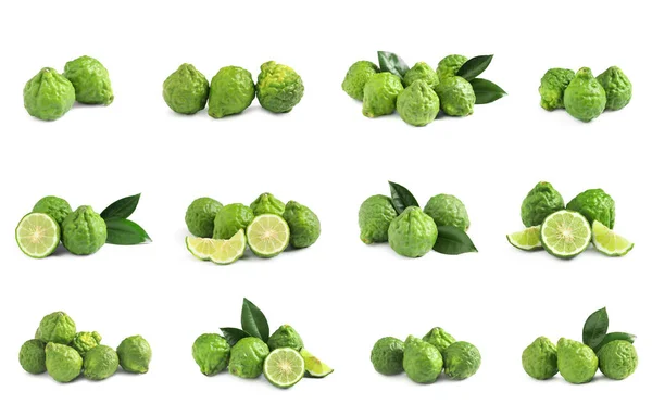 Set Fresh Ripe Bergamot Fruits White Background — Stockfoto