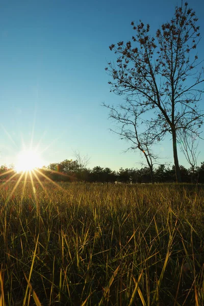 Pittoresk Utsikt Över Vacker Natur Vid Solnedgången — Stockfoto