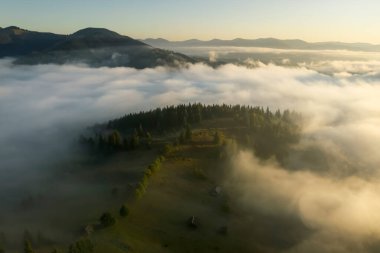 Dağlardaki sisli ormanla güzel manzaranın havadan görünüşü