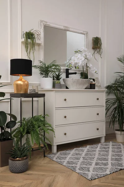 Elegante Baño Interior Con Muebles Modernos Hermosas Plantas Interior — Foto de Stock