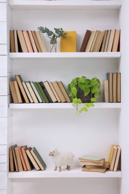 İçerideki raflarda kitap ve dekor öğeleri koleksiyonu
