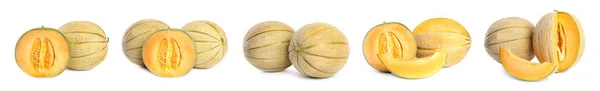 Set Delicious Ripe Melons White Background Banner Design — Stockfoto